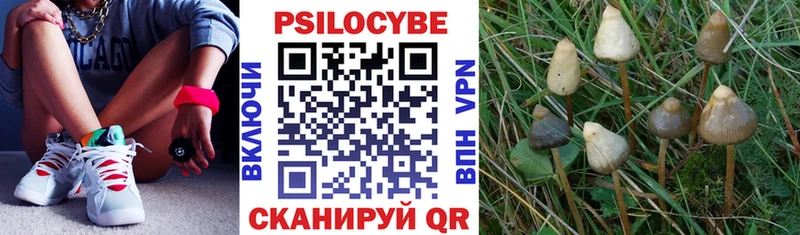 Псилоцибиновые грибы мухоморы  Купить  Находка 